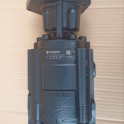 হাই গ্যারান্টি Dieci BHD3119 হাইড্রোলিক পাম্প Casappa 799141AS